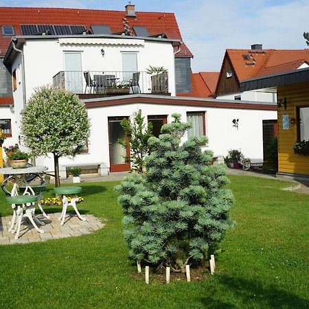 Pension Nr. 13 - B&B Pirna Exterior photo